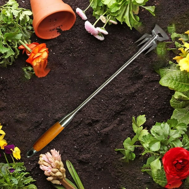 Extractor de malas hierbas para jardín y patio, herramientas  multifuncionales de acero inoxidable para jardinería