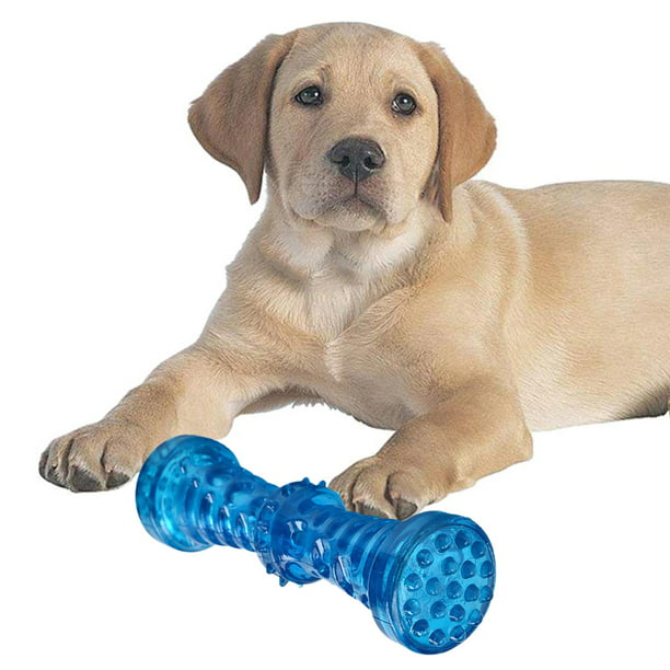 Juguetes interactivos para perros de uso pesado Squeaky Accesorios