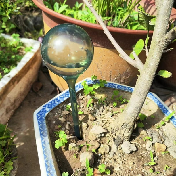 Bebedero De Plantas Riego por goteo con forma de bola ligera para plantas  de PVC para plantas en macetas de interior Likrtyny Para estrenar