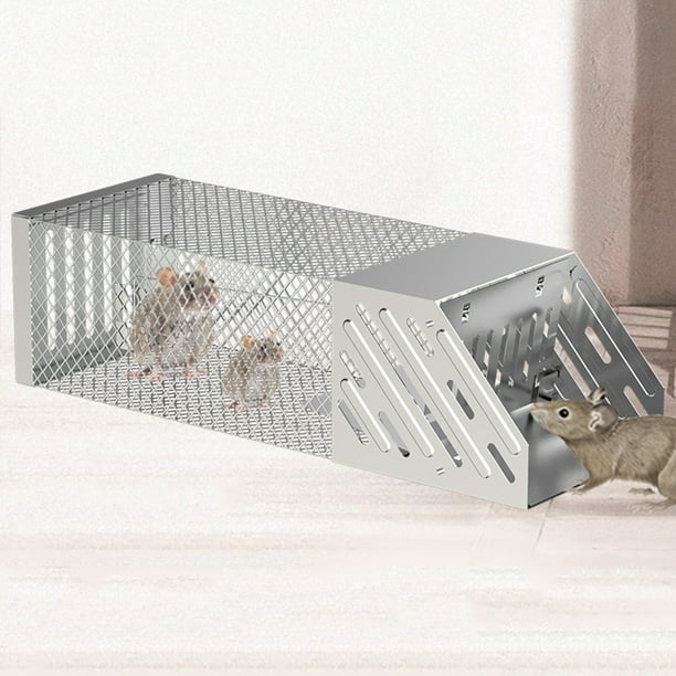 Atrapador de ratones para el hogar Trampa para ratones no tóxica de acero  inoxidable Trampa para ratones en vivo (L) Ehuebsd Libre de BPA