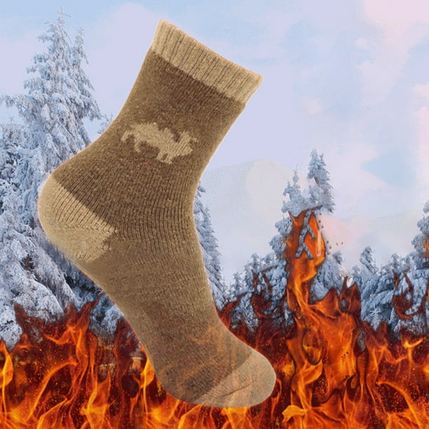sweethay 5 pares de calcetines cálidos de invierno de diseño Simple de  estilo informal para niños, calcetines térmicos transpirables gruesos,  Accesorios de calzado L sweethay AP013144-03