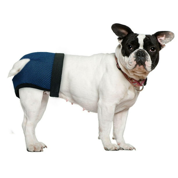 Pañales de alta absorción para perros, pantalones para orinar