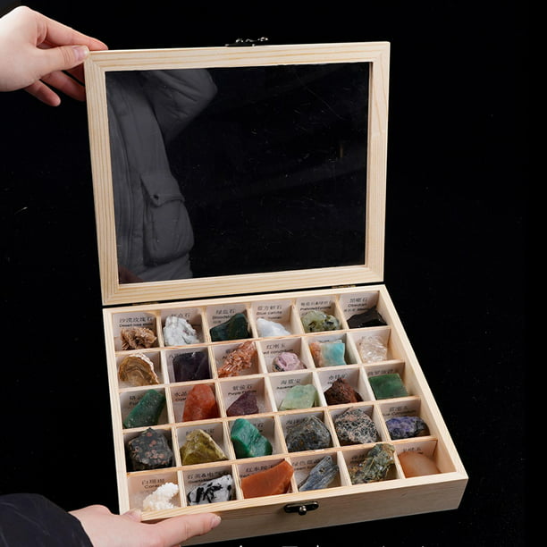 Colección s 30PCS Juego educativo minerales Piedras preciosas para de de  geología STEM Educación científica Baoblaze colección de rocas y minerales