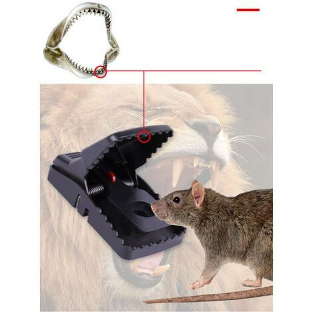 Trampa metálica para ratas