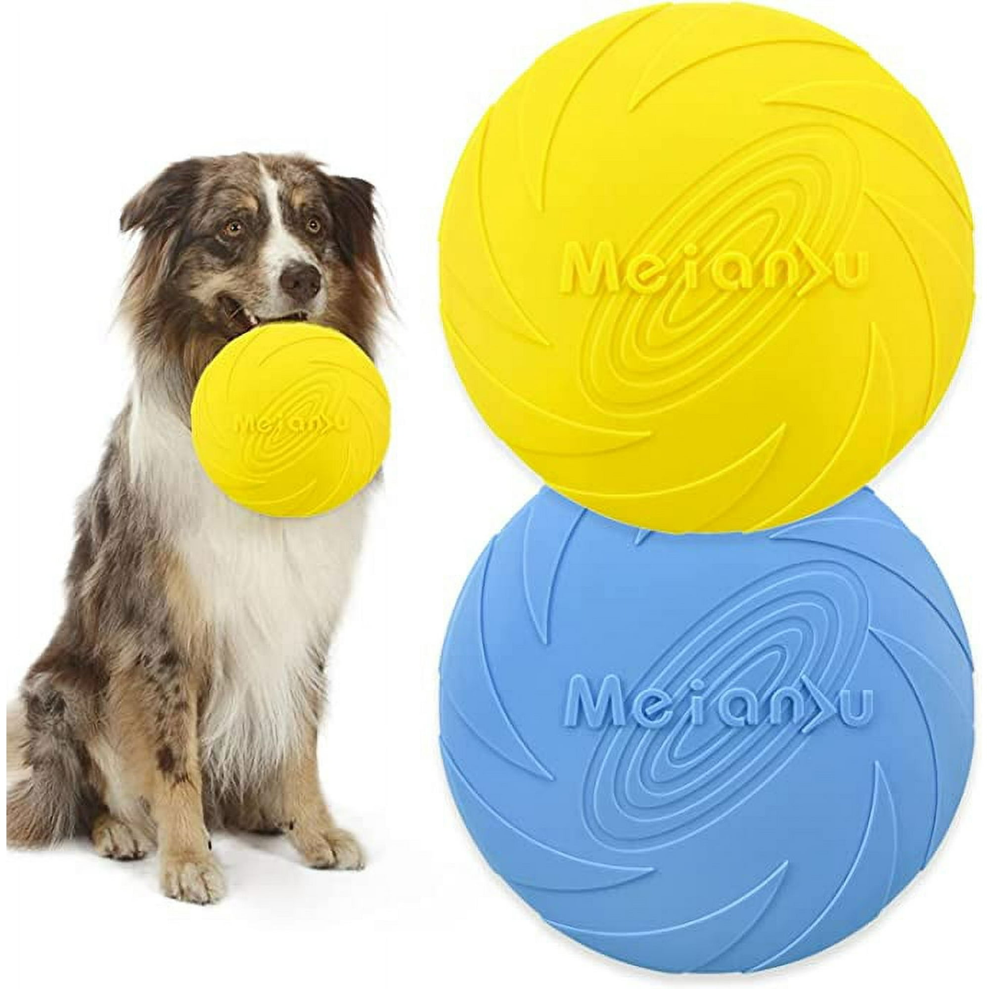 Cómo enseñar a tu perro a jugar al Frisbee o Disc Dog 