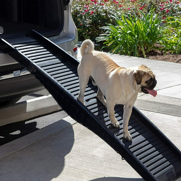 Escaleras para perros para sofá cama, escaleras para mascotas de 2  escalones, escalones de rampa para perros fáciles de escalar, escalera ,  negro Yinane Escalera de escaleras para gatos