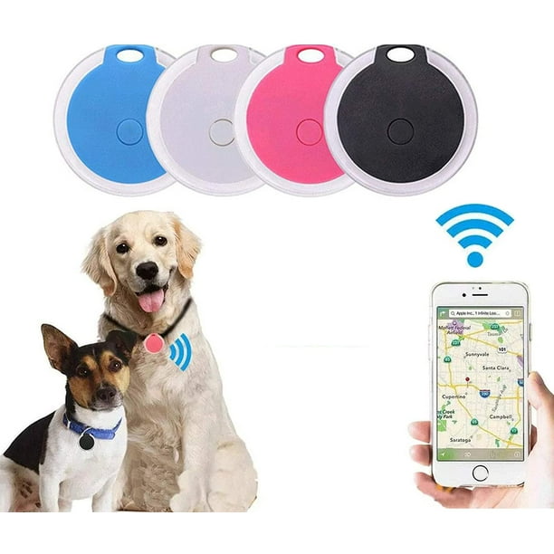 Collar de perro con localizador GPS para exteriores, estuche para