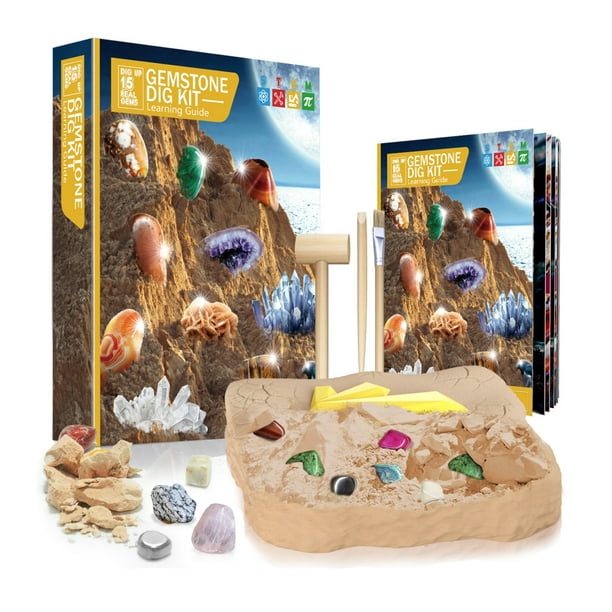 Kit de excavación Colección de minerales Rock Mineral Gem Kit para niños  Excavar minerales reales con herramientas de minería, Colección de  especímenes