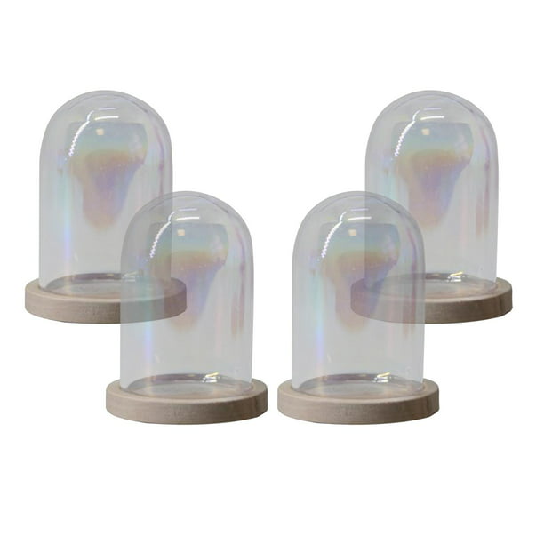 Cúpulas de cristal con base de madera (4 medidas)