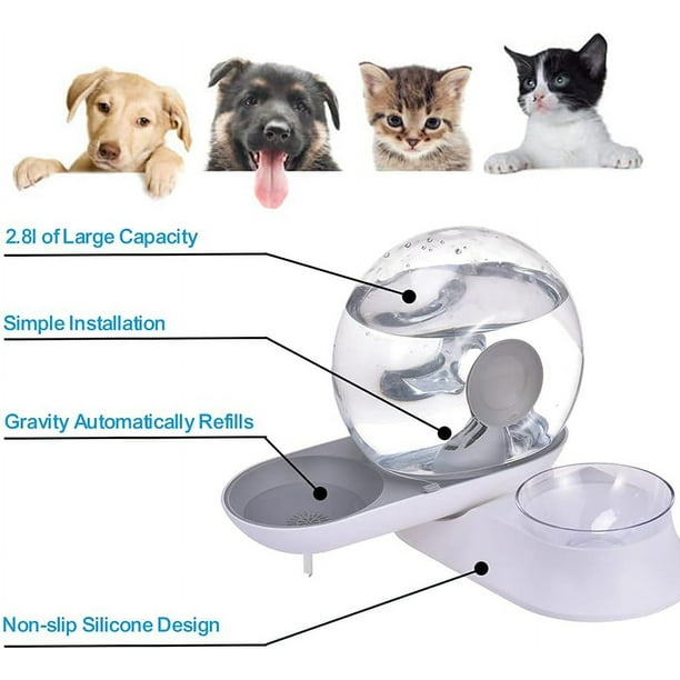  Dispensador automático de agua para perros y gatos