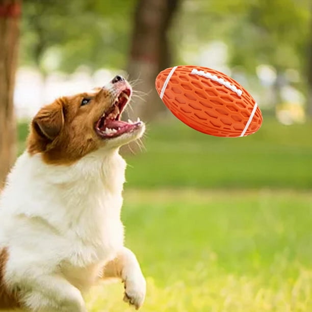 Pelota Frisbee para Perros