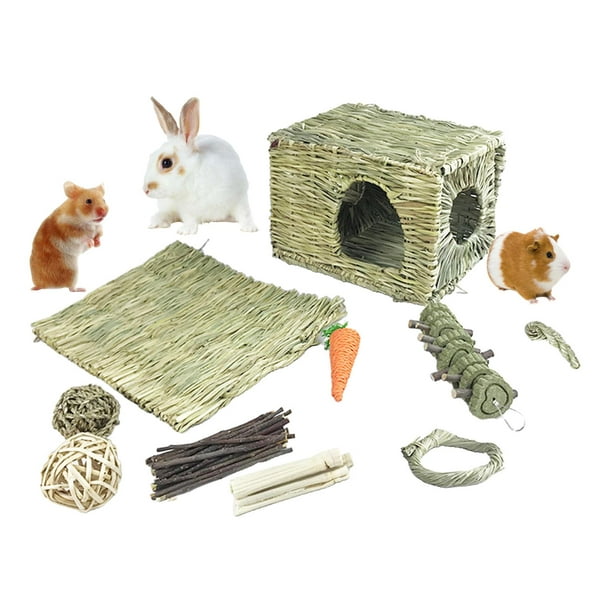 Conejito masticable juguetes para dientes, molar conejo juguetes natural  orgánico manzana palitos para conejos, chinchillas, cobayas, hámsters