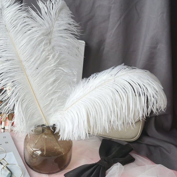 UNEEDE 120 plumas blancas de 6 a 8 pulgadas, plumas de ganso naturales para  decoración de boda, decoración de Halloween, alas de ángel y manualidades
