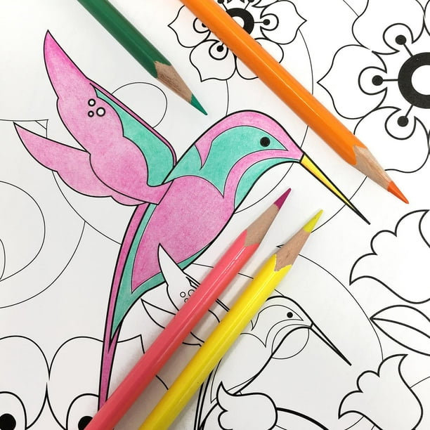 Set 80 colores plumones doble punta gama de arcoíris, marcadores  rotuladores de dibujo acuarelas para colorear ideal para niños estudiantes  creativos artistas aficionados y creativos Happy Life Set 80 colores  plumones doble