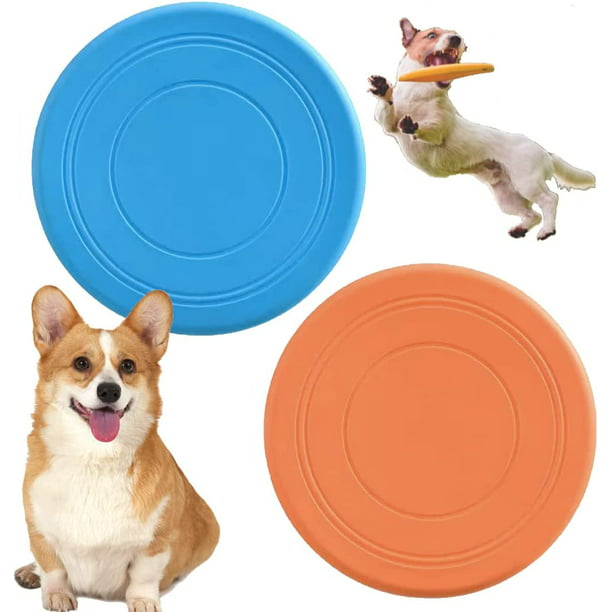 Frisbee para perros, juguete volador para cachorros de reacción más rápida,  juguete interactivo de entrenamiento para perros pequeños a medianos