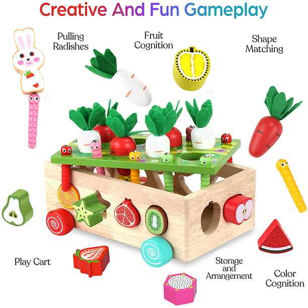 WTUST Juguetes Montessori para niños y niñas de 1, 2 y 3 años, juguetes  educativos de clasificación y apilamiento de madera, clasificador de  formas