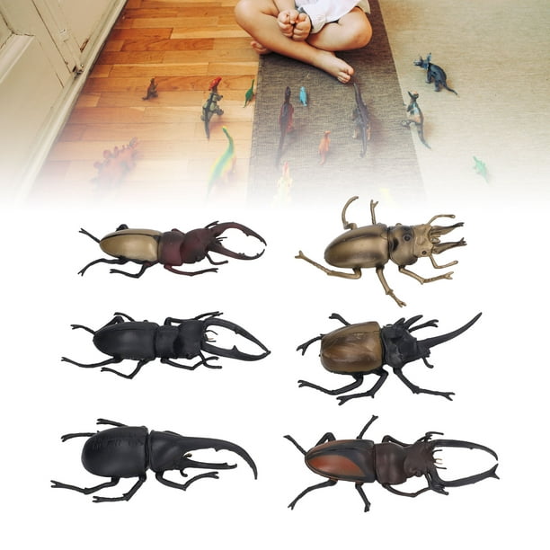 Juguete de insectos, juguete de insectos de simulación de 6 piezas Figura  de insecto Modelo de insecto Características de vanguardia