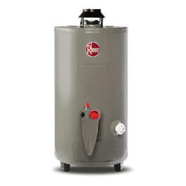 Calentador de Agua de Depósito 49 Litros a Gas LP 1.5 Servicios, incl 1er  mantenimiento Rheem 29V13SS/402635 | Walmart en línea