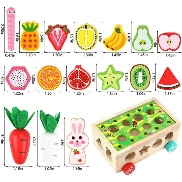 Juguetes Montessori para niños de 1, 2 y 3 años, juguetes de madera para  clasificar colores y formas | Juguetes educativos de aprendizaje para niños