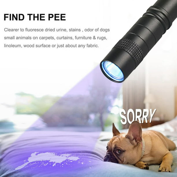 Mini linterna UV de 3W luz negra ultravioleta de 365nm Detector Ehuebsd de  orina de mascotas resistente al agua antorcha de comprobación de moneda 1  ud.