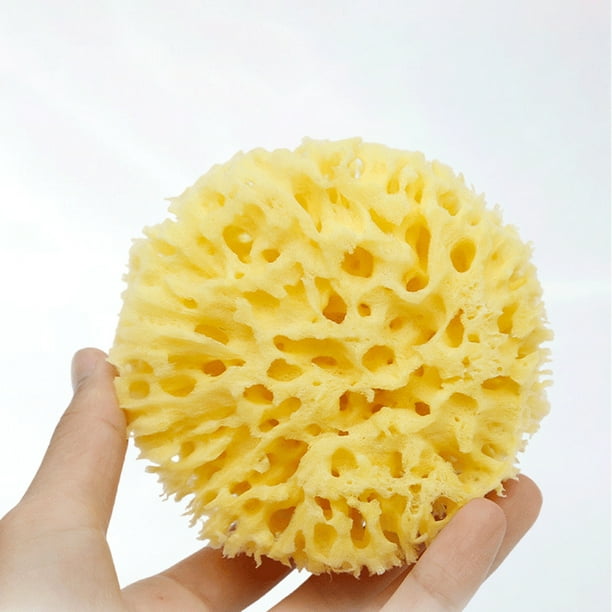 Esponja Natural Honeycomb