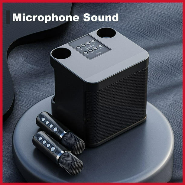 Altavoz De Karaoke Altavoz de bajos estéreo inalámbrico con micrófono Dual  de Karaoke profesional portátil de 100W
