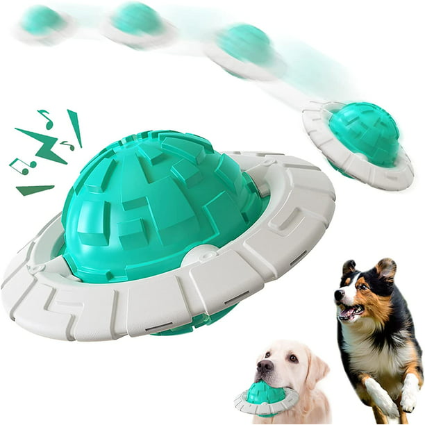 Juguetes Para Perro Frisbee Tpr Perros Cachorros Mascotas