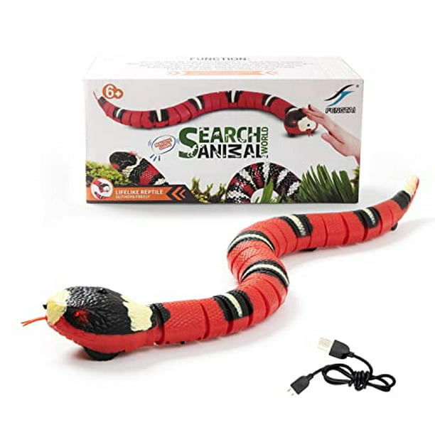 Juguete eléctrico de serpiente, juguete de gato de serpiente de detección  inteligente con AMCHSURI AMCHSURI