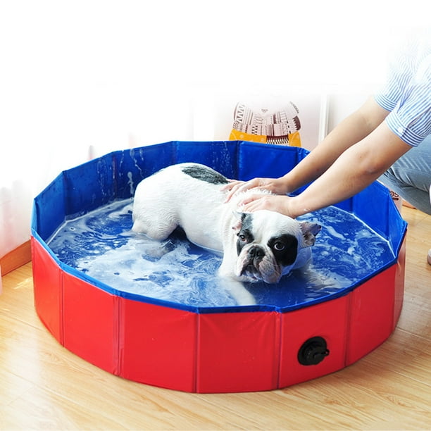 Bañera plegable para mascotas, piscina plegable para perros, bañera para  mascotas
