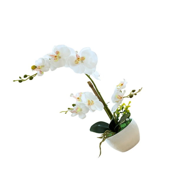 Wosthever Orquídeas artificiales Flor Decoración para el hogar Ligero  Decoración falsa Plantas Cuenco blanco Olla Cocina Oficina Balcón Decoración  Blanco