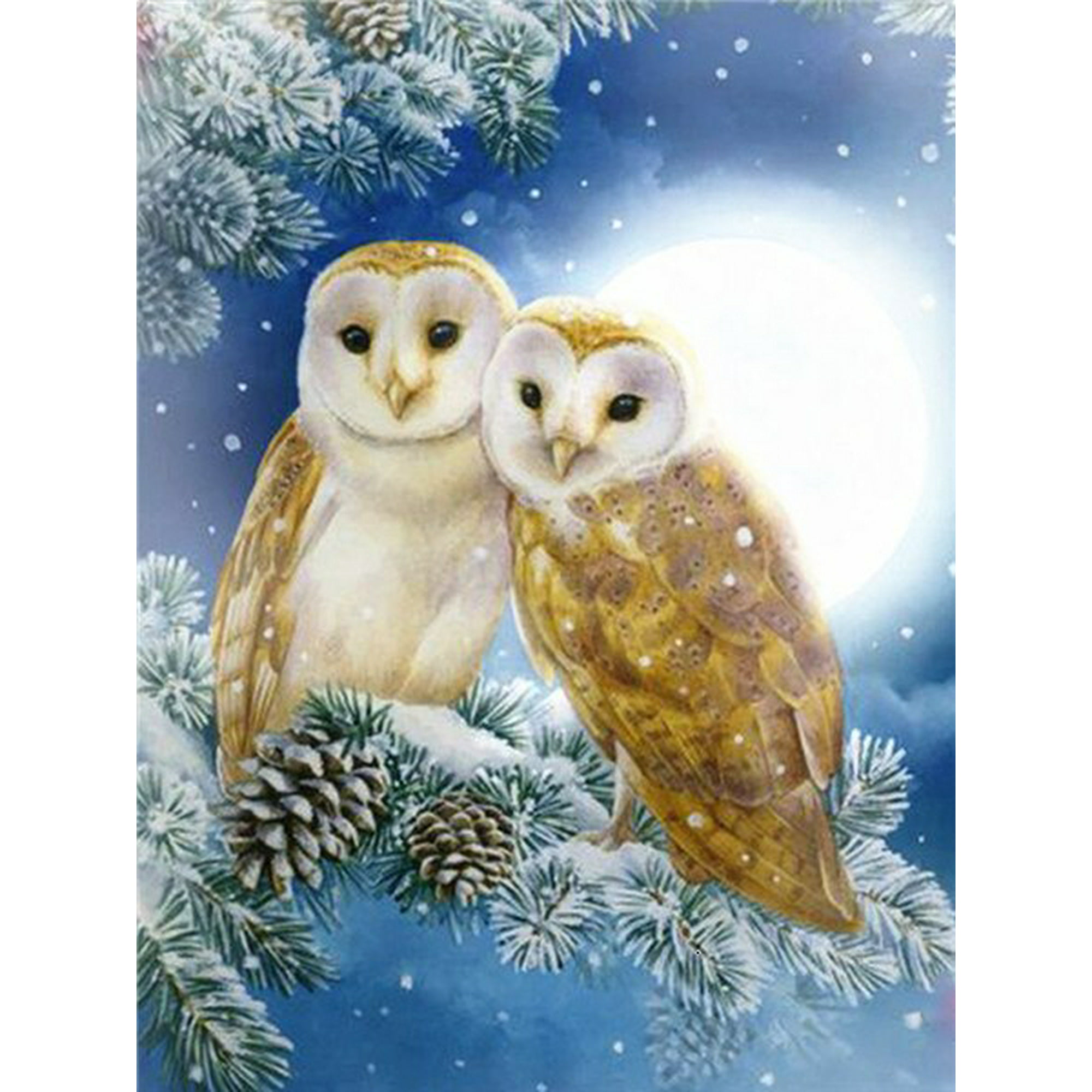 5d Diamond Owl Embroidery Painting  Diamond Painting Full Square Owl -  Diamond Art - Aliexpress