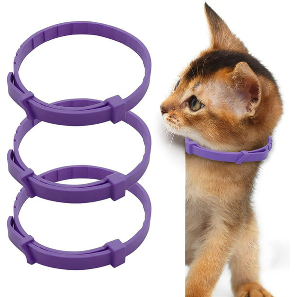 Collar Relajante Calmante Antiestres De Feromonas Para Gatos - Melo&Ebo