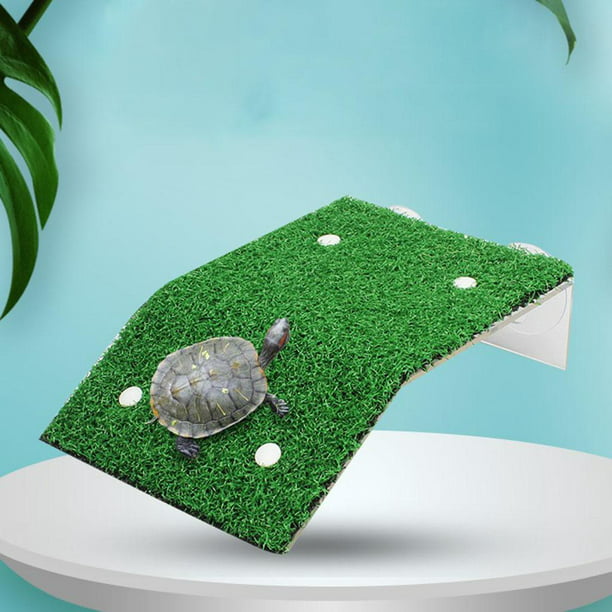 Los 7 mejores accesorios para tortugas de agua 
