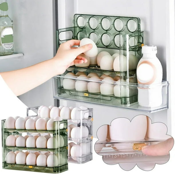 Caja de Almacenamiento para Huevos de Gallina, 40 Caja de Rejilla