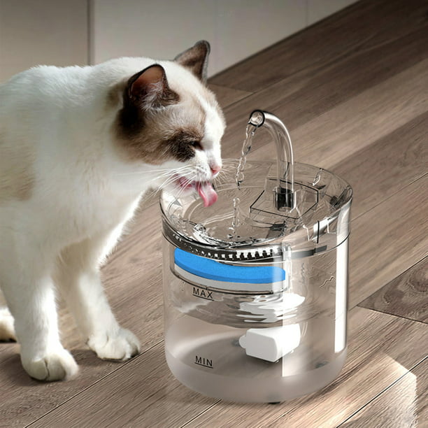 Wdftyju Bebedero de filtro de Sensor de fuente de agua de gato automático para  gatos dispensador de Wdftyju 6ta2rp8nr1nx3qh5D05