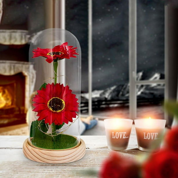 Los regalos de entrega hechos a mano se guardan en cúpulas de vidrio: las  flores artificiales son regalos creativos para amigos Zhivalor BST3003460-2