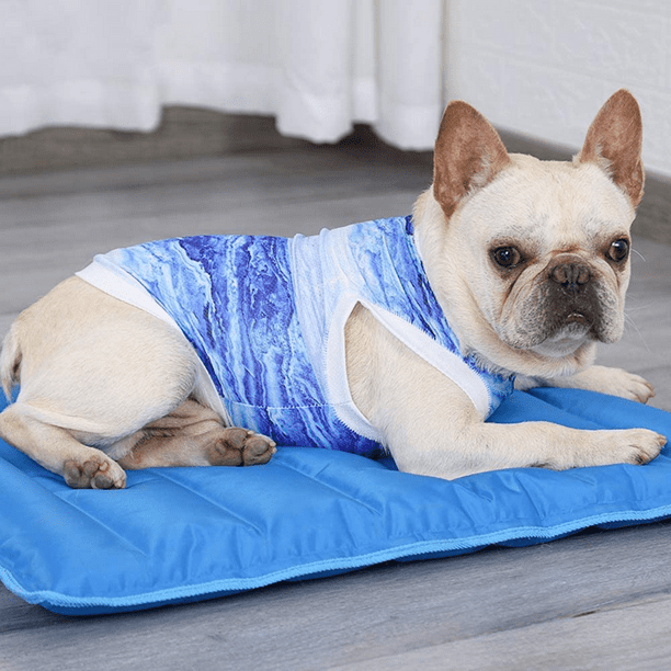 Cama de perro online con chaleco