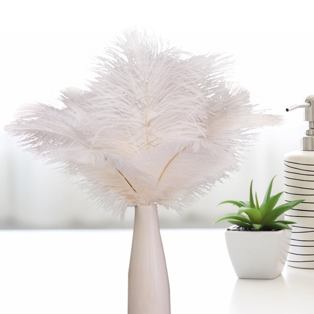 Plumas Esponjosas Decoración 10 plumas de avestruz esponjosas para fiestas  de bodas, plumas de 30 a 35 cm (blanco) Likrtyny Libre de BPA