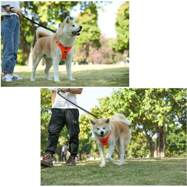 Arnés táctico para perros grandes, arnés para perro sin tirones con asa,  arnés ajustable para perro de fácil paseo, para entrenamiento, caminar