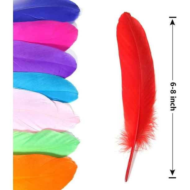 Dxeud - Plumas de ganso coloridas 100 unidades/paquete (10 unidades x 10  colores) (4-6 pulgadas)