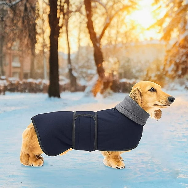 Cálido abrigo térmico acolchado Dachshund. Abrigo invierno para perro con cálido forro polar. Ropa para perros al aire libre con bandas ajustables para pequeños y medianos. Perro grande -n XianweiShao
