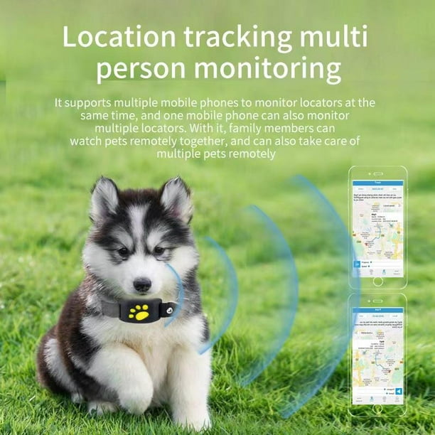  Rastreador GPS inteligente para perros sin tarifa mensual, GPS  para perros sin señales celulares, collar rastreador de perros con GPS,  rastreador de mascotas sin teléfonos móviles, seguimiento en : Electrónica