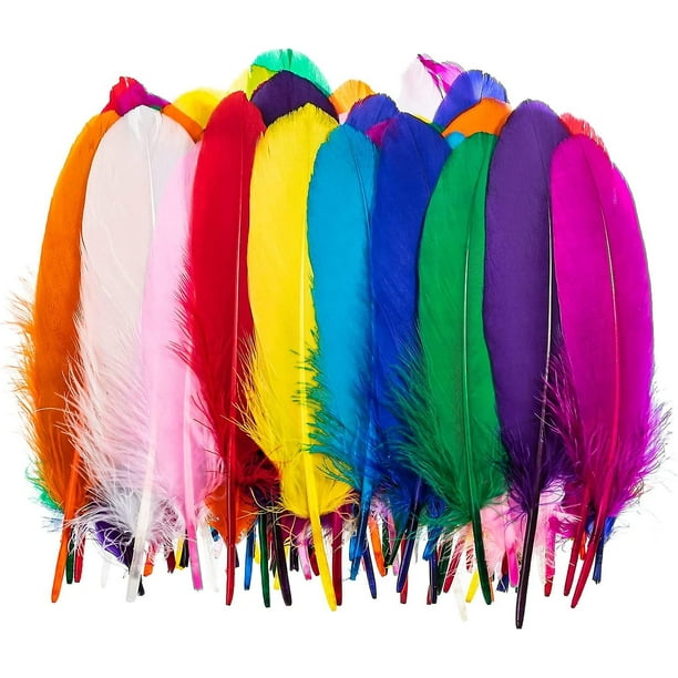 100 piezas de plumas de ganso de colores naturales a granel 6-8 pulgadas  (15-20 cm) para decoracione YONGSHENG
