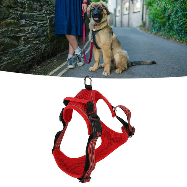 Arnés para mascotas, arnés con LED para perro, ajustable, reflectante, para  caminar, al aire libre, correa para el pecho para perros medianos y