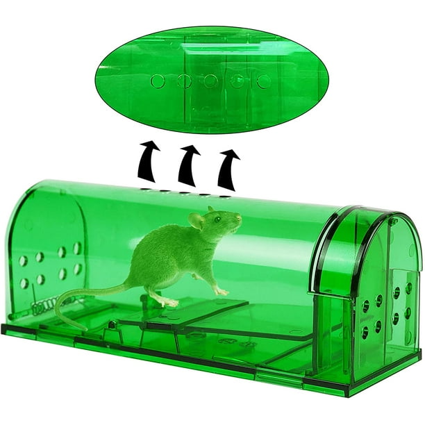 Phosooy - Trampa para ratones humana pequeña, 6.7 x 2.6 x 2.5 pulgadas,  transparente, trampa para ratones en vivo, efectiva, trampa para ratones  sin liberación de muerte, caja de trampa para ratones