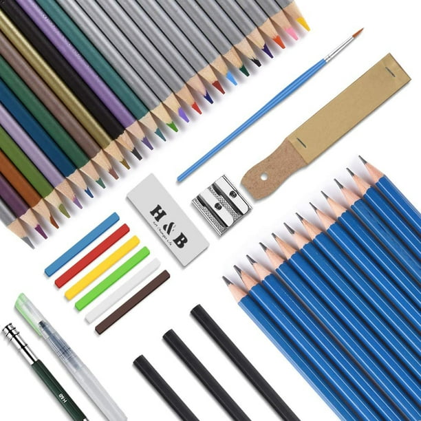 Kit de arte de lápices de dibujo, bolígrafos de dibujo, herramientas de  dibujo de pintura de carbón de grafito de arte profesional para artistas,  estudiantes, profesores, principiantes Zhivalor C-221012-3