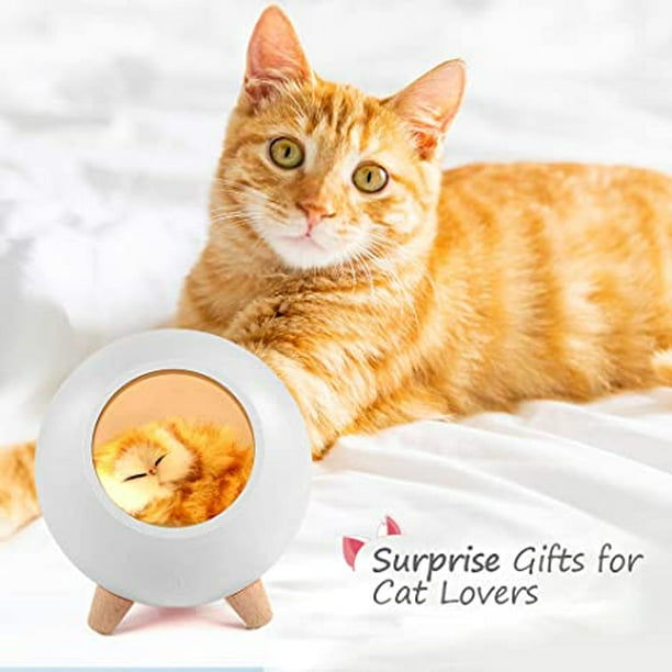 Regalos para amantes de los gatos para mujeres, regalos divertidos de gatos  para amantes de los gatos, la mejor caja de regalo para mamá y gato para