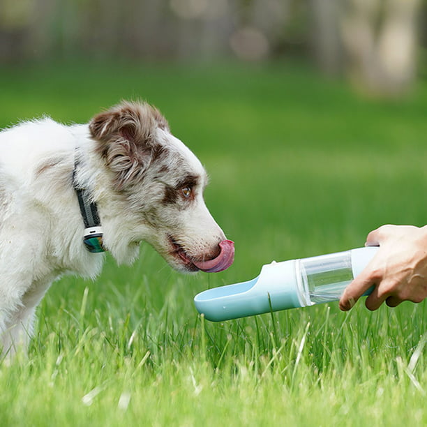 HOOPET-bebedero portátil para perro, taza de agua potable, alimentador de  agua para mascotas, botella de