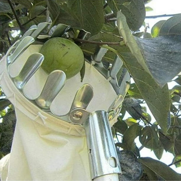 Recogedor de frutas Recogedor de frutas sin mango telescópico metálico  Recogedor de manzanas Recogedor de frutas Recogedor de frutas con tapas  protectoras 160 mm Sincero Electrónica