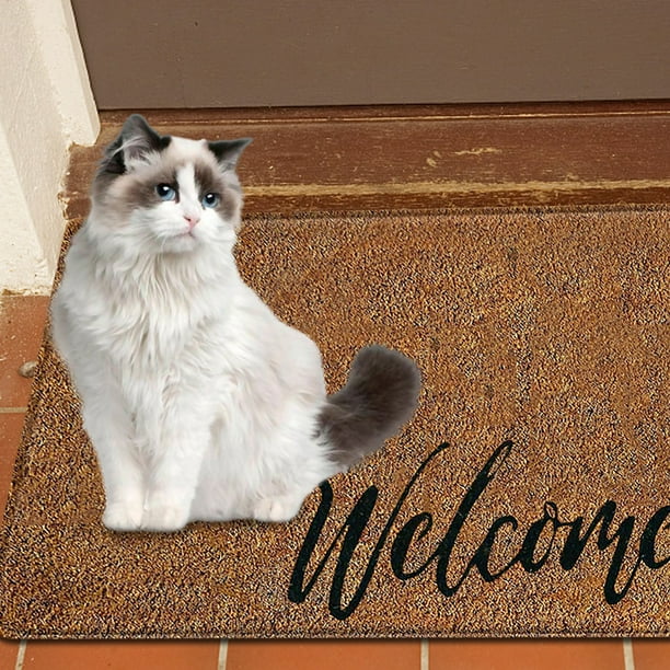 Felpudo Entrada Casa Gatos - Felpudos Originales - Alfombras